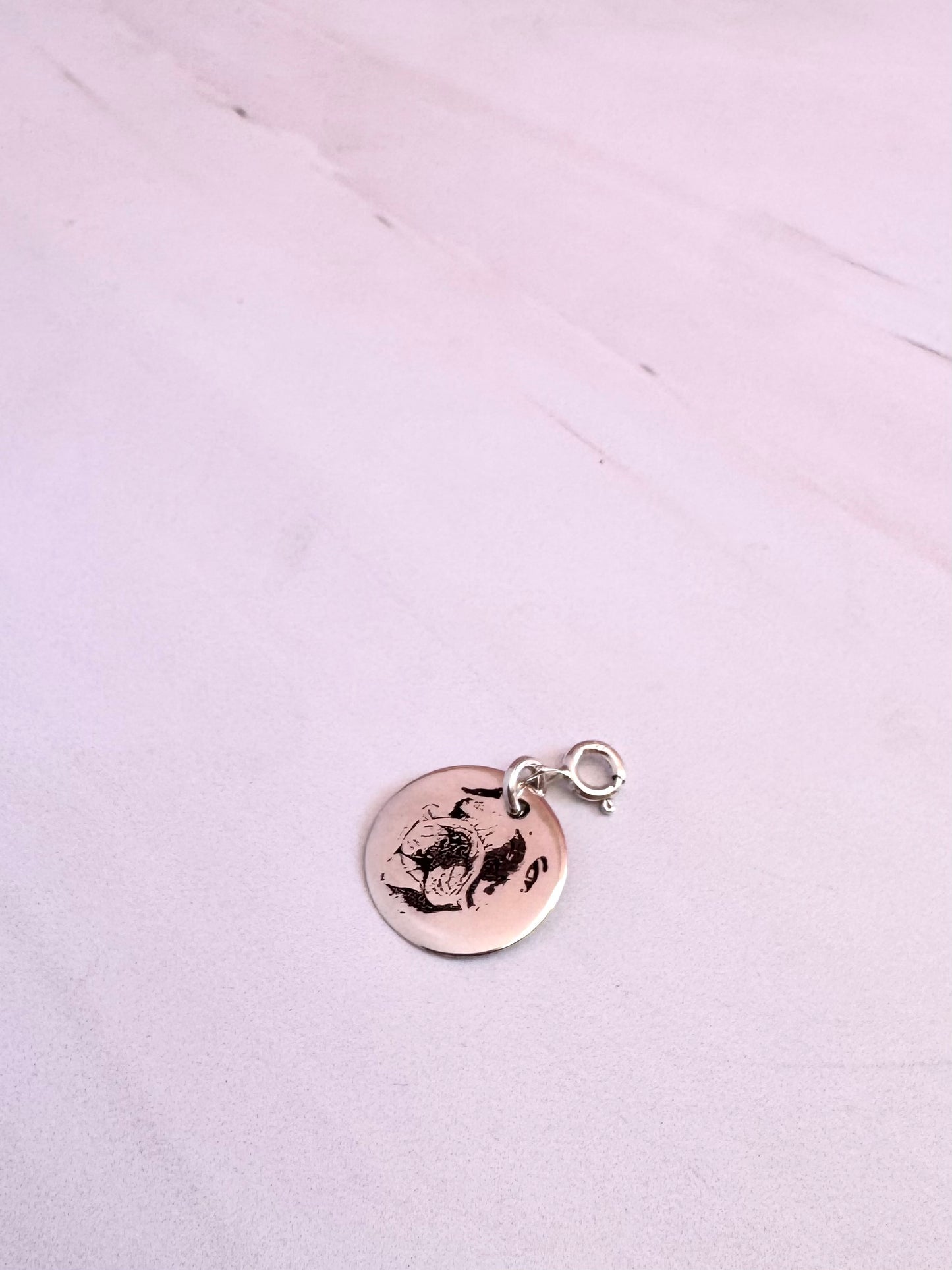 Plaquita Personalizada Mascota 1.5cm Plata .925 con Foto