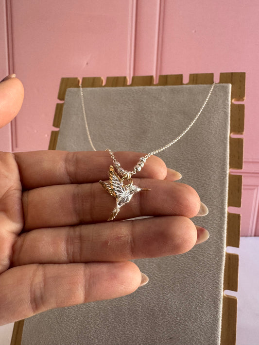 Colibrí puntas doradas