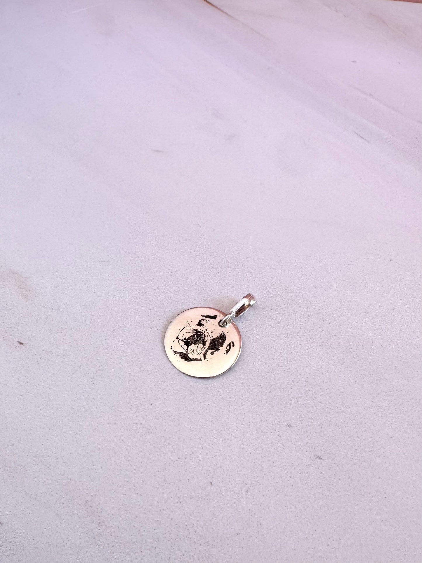 Plaquita Personalizada Mascota 1.5cm Plata .925 con Foto