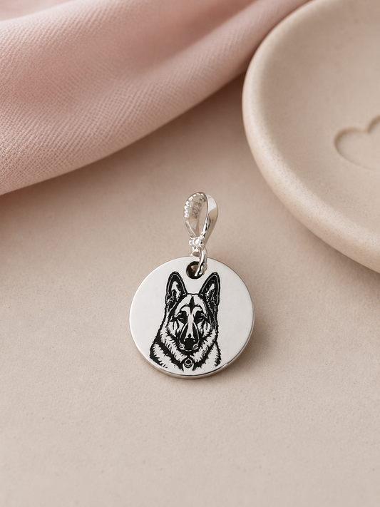 Dije Plaquita Personalizada Mascota Plata .925 1 cm